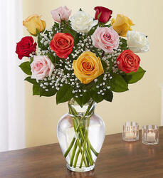 12 Premium Roses - You Choose Color from Clermont Florist & Wine Shop, flower shop in Clermont